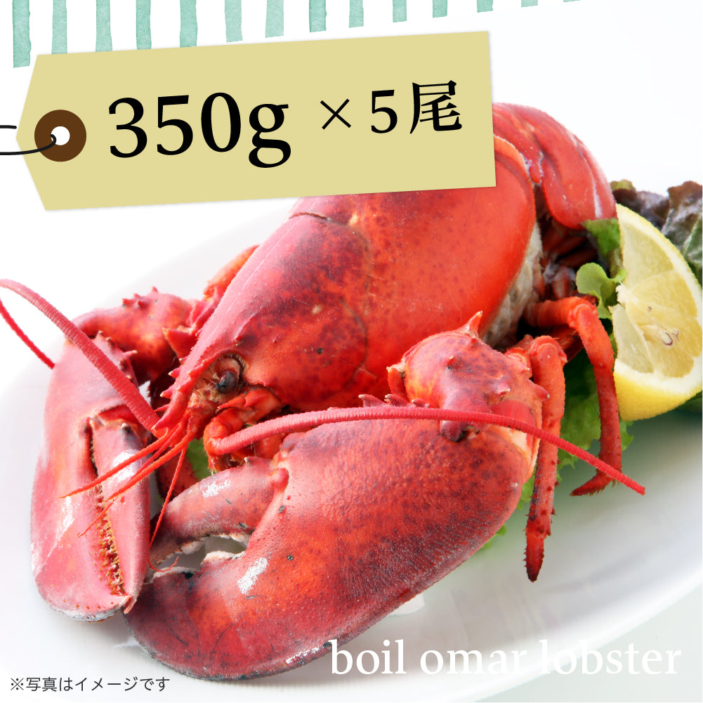 ボイル オマールロブスター350g