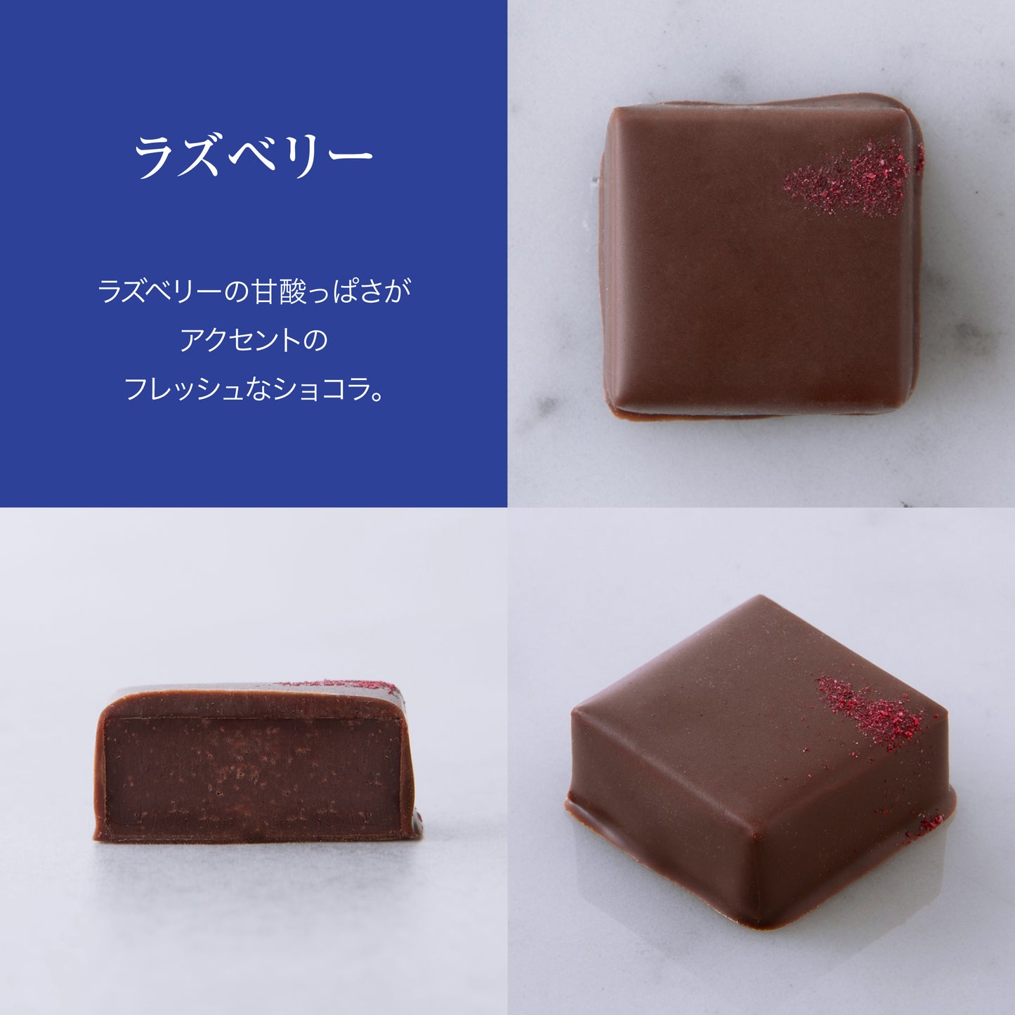 RESPIRER(レスピレ)  プレミアム ショコラアソート「艶 -en-」（12個）